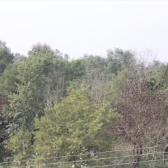 Отель Peace Palace Nepal Непал, Лумбини - отзывы, цены и фото номеров - забронировать отель Peace Palace Nepal онлайн балкон