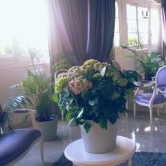 Отель Kyriad Saumur Centre Сомюр интерьер отеля