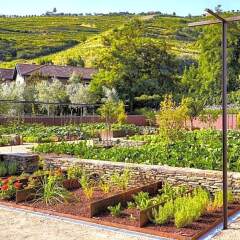 Отель Six Senses Douro Valley Португалия, Ламего - отзывы, цены и фото номеров - забронировать отель Six Senses Douro Valley онлайн фото 5