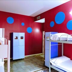 Отель Purple Nest Hostel Испания, Валенсия - 1 отзыв об отеле, цены и фото номеров - забронировать отель Purple Nest Hostel онлайн фото 9