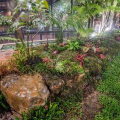 Отель The Cinnamon Resort Паттайя