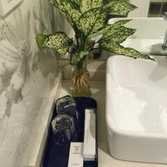 Kelly Hotel Hanoi с домашними животными