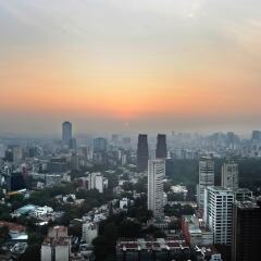 Отель Hyatt Regency Mexico City фото 7