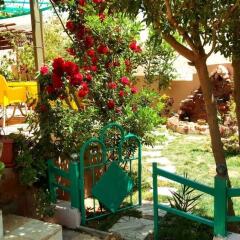 Отель Why not bedouin house Иордания, Вади-Муса - отзывы, цены и фото номеров - забронировать отель Why not bedouin house онлайн детские мероприятия