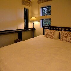 Отель Spa Greenness Минамиогуни удобства в номере