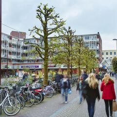 Отель Holiday Inn Express Amsterdam - Schiphol Нидерланды, Хофддорп - отзывы, цены и фото номеров - забронировать отель Holiday Inn Express Amsterdam - Schiphol онлайн спортивное сооружение