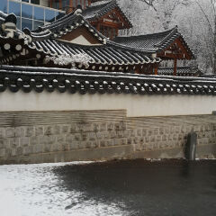 Отель Seoul y Guest house Южная Корея, Сеул - отзывы, цены и фото номеров - забронировать отель Seoul y Guest house онлайн фото 6