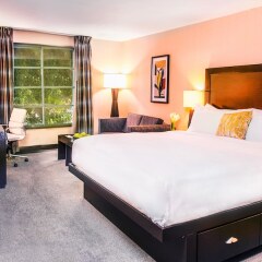 Отель The Orlando США, Лос-Анджелес - отзывы, цены и фото номеров - забронировать отель The Orlando онлайн фото 5