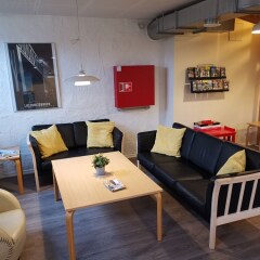Отель Danhostel Odense City Дания, Оденсе - отзывы, цены и фото номеров - забронировать отель Danhostel Odense City онлайн комната для гостей фото 4