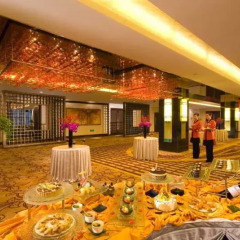 Radegast Hotel CBD Beijing развлечения