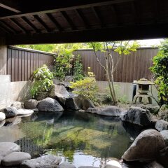 Отель Hasuwa Inn Хидзи бассейн фото 2