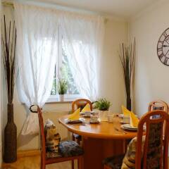 Апартаменты Manu Apartment Вена в номере фото 2