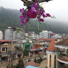 Cherry Sapa Hotel