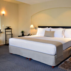 Hotel Posada Guadalajara комната для гостей фото 5