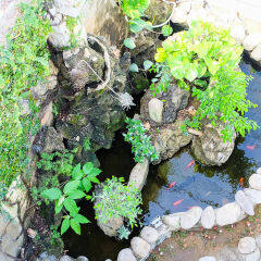 Отель Unity Villa Hoi An Хойан