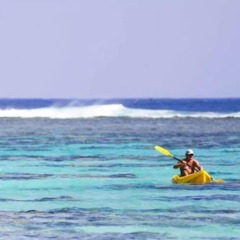 Отель Royal Bora Bora Французская Полинезия, Бора-Бора - отзывы, цены и фото номеров - забронировать отель Royal Bora Bora онлайн фото 2