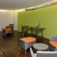 Отель Plaza Suites Mexico City Hotel Мексика, Мехико - отзывы, цены и фото номеров - забронировать отель Plaza Suites Mexico City Hotel онлайн спа