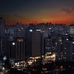 Nine Tree Hotel Dongdaemun Сеул
