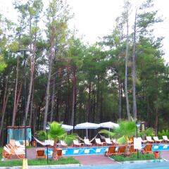 Green Forest Holiday Village Турция, Олудениз - отзывы, цены и фото номеров - забронировать отель Green Forest Holiday Village - All Inclusive онлайн приотельная территория