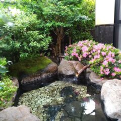 Отель Oita Ken·Yufuin Onsen Oyado Gorinka Хидзи фото 2