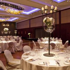 Отель Park Hyatt Zurich