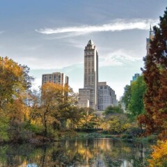 Отель The Pierre, A Taj Hotel, New York США, Нью-Йорк - отзывы, цены и фото номеров - забронировать отель The Pierre, A Taj Hotel, New York онлайн приотельная территория фото 2