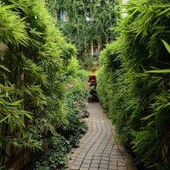 Отель Les Patios du Marais 1 фото 6
