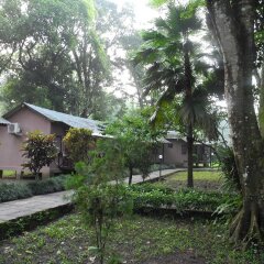Отель Safari Adventure Lodge Непал, Саураха - отзывы, цены и фото номеров - забронировать отель Safari Adventure Lodge онлайн фото 5