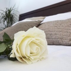 Отель Villa Margarita for Kids Кипр, Протарас - отзывы, цены и фото номеров - забронировать отель Villa Margarita for Kids онлайн ванная фото 2