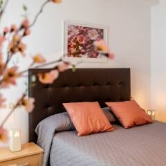 Отель Travel Habitat Jardines de Viveros детские мероприятия