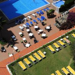 Отель Dorisol Mimosa Hotel Португалия, Фуншал - отзывы, цены и фото номеров - забронировать отель Dorisol Mimosa Hotel онлайн фото 10