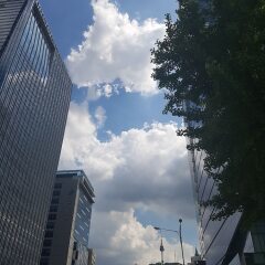 Отель 24 Guesthouse Cheonggyecheon фото 7