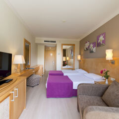 Отель Aska Buket Resort & Spa комната для гостей