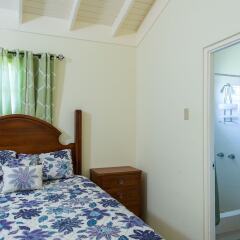 Отель Ocho Rios Beach House at Dax Hall Очо-Риос комната для гостей фото 3