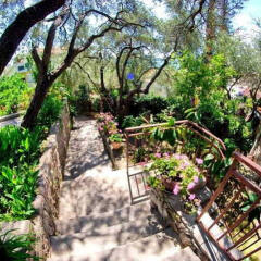 Отель Elena Guest House Пржно фото 3