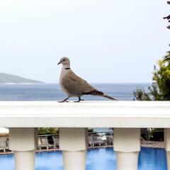 Isis Hotel Goddess of Bodrum с домашними животными