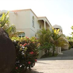Coconut Tree Villa in Tortola, British Virgin Islands from 526$, photos, reviews - zenhotels.com photo 2