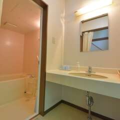 Hotel Euro City Никко ванная