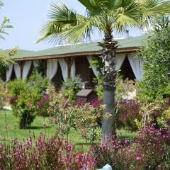 Отель Sentido Flora Garden - All Inclusive - Только для взрослых фото 14