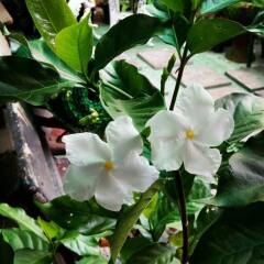 Отель Na Banglampoo фото 12