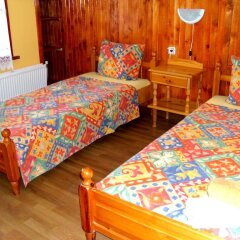 Отель Veselata Guest House Болгария, Боровец - отзывы, цены и фото номеров - забронировать отель Veselata Guest House онлайн фото 23