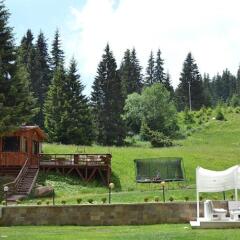 Отель Forest Nook Villas Болгария, Пампорово - отзывы, цены и фото номеров - забронировать отель Forest Nook Villas онлайн фото 7