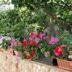 Отель Garden Fiorella Италия, Чинизи - отзывы, цены и фото номеров - забронировать отель Garden Fiorella онлайн фото 10