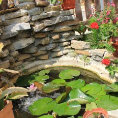 Отель Family Hotel Bordo House Болгария, Аврен - отзывы, цены и фото номеров - забронировать отель Family Hotel Bordo House онлайн фото 11