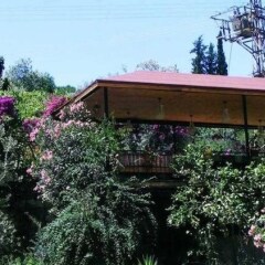Eucalyptus Pension Турция, Патара - отзывы, цены и фото номеров - забронировать отель Eucalyptus Pension онлайн фото 7