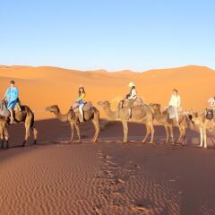 Отель Galaxy Desert Camp Merzouga Марокко, Мерзуга - отзывы, цены и фото номеров - забронировать отель Galaxy Desert Camp Merzouga онлайн помещение для мероприятий