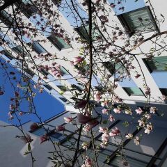 Отель ibis Berlin City West фитнесс-зал