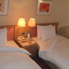 Hotel Lake Alster Alza Izumiotsu Матсубара комната для гостей фото 3