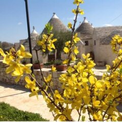Отель Il Gabellota Resort Альберобелло детские мероприятия фото 2