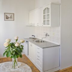 Отель EA Esplanade Apartmány Чехия, Карловы Вары - отзывы, цены и фото номеров - забронировать отель EA Esplanade Apartmány онлайн в номере фото 2